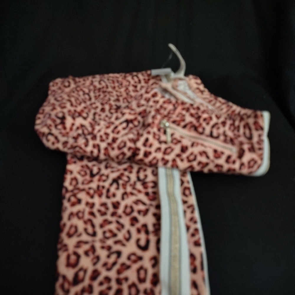 Leopard Print Jacket and Pants Set